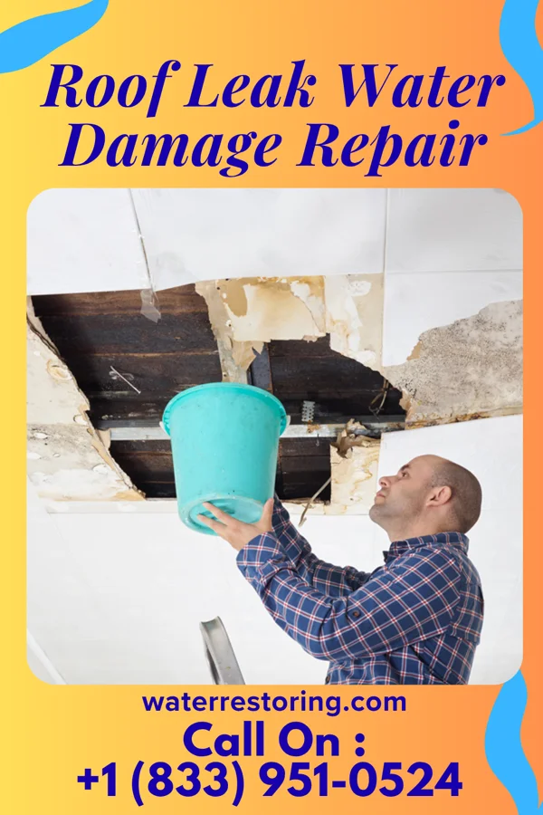 Roof Leak Water Damage Repair in Acorn, AR