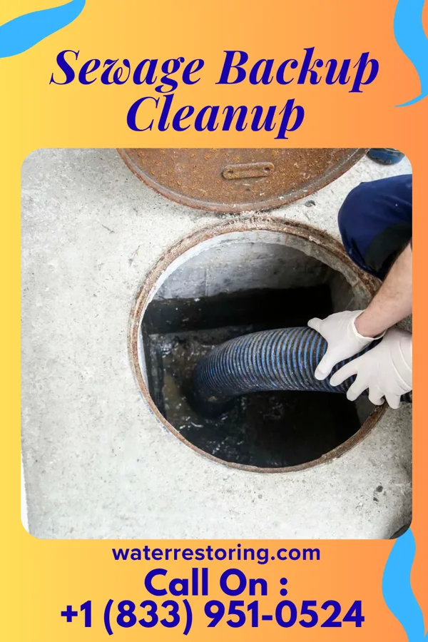 Sewage Backup Cleanup in Acorn, AR